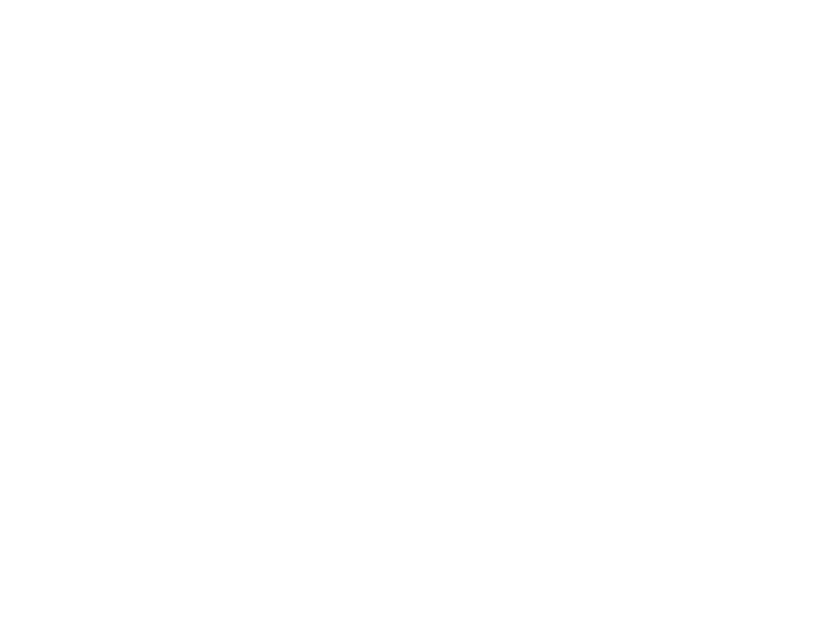 Fiat logo white