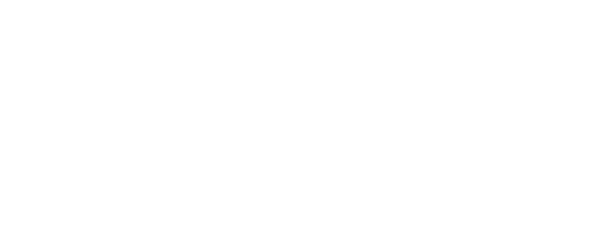 Ford logo white