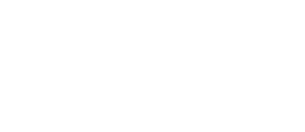 ford-logo-white